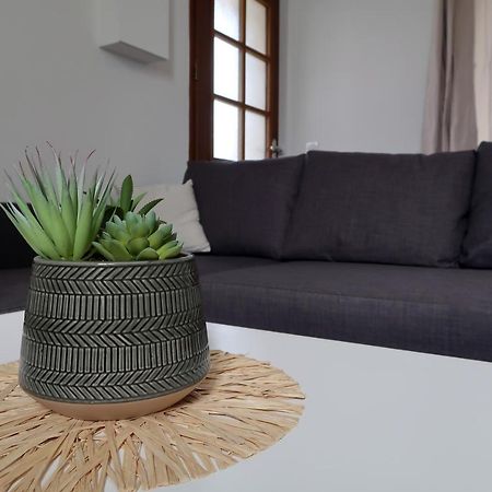 Clermont Centre- Appartement Prive מראה חיצוני תמונה